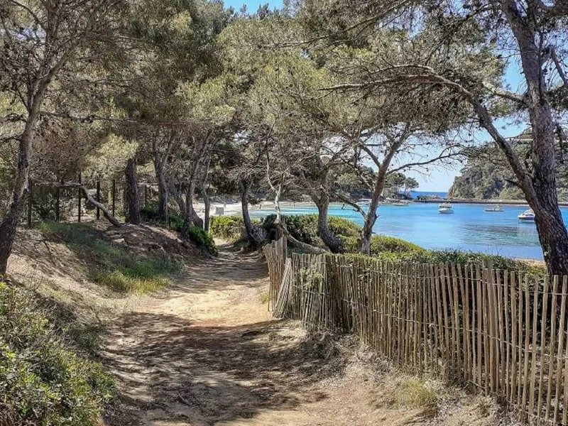 Coastal path to the beach