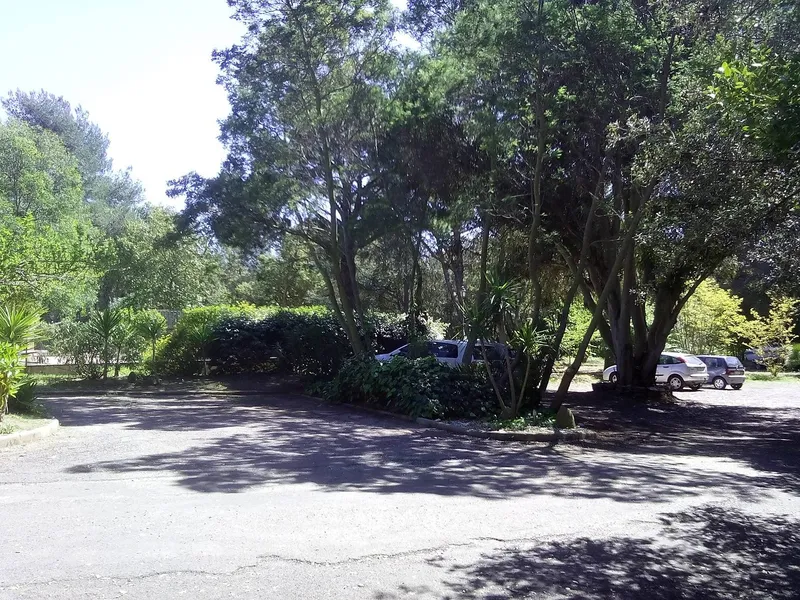 Parking access